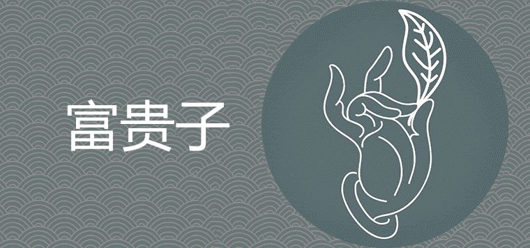 富贵子摆放禁忌有哪些