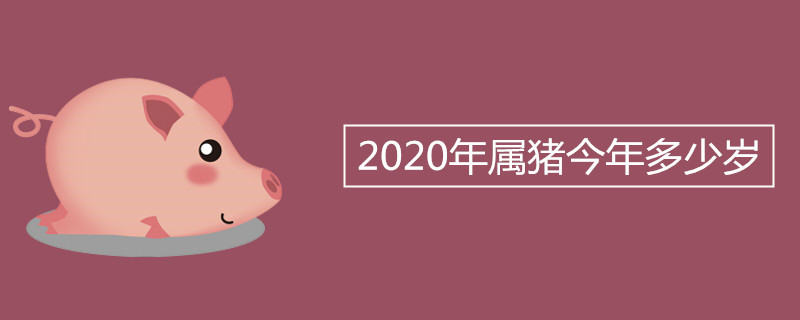 2020年属猪今年多少岁