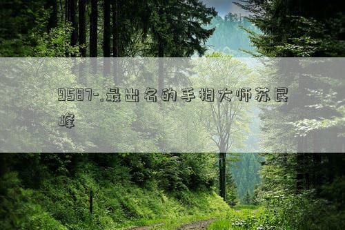 9587-.最出名的手相大师苏民峰