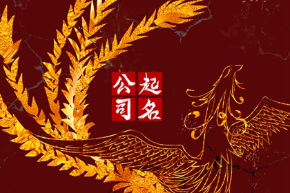 创业公司取名字大全 高端大气的公司名称