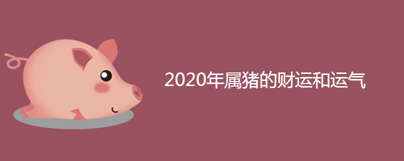 2020年属猪的财运和运气