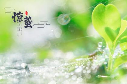 2022年雨水是什么时候下的,2022年雨水是什么时候