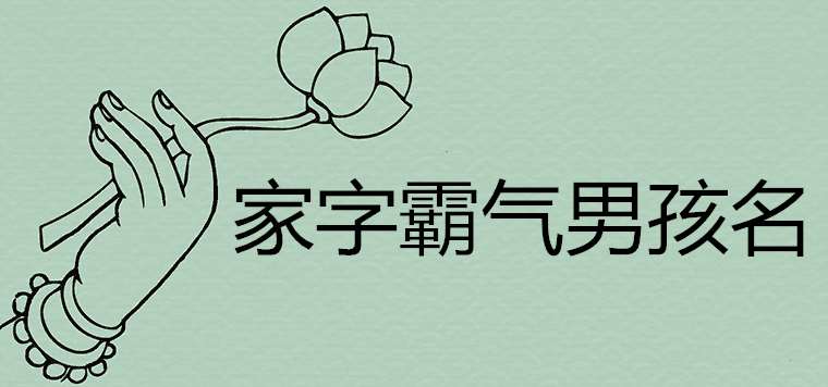 带家字的男孩名字霸气的能带来好运吗