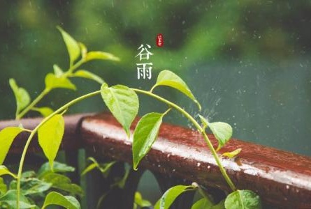 谷雨的“三候”是哪三候,有什么说法和讲究？