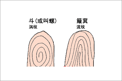 九斗一簸箕有什么说法适合职业