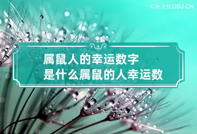 属鼠人的幸运数字是什么 属鼠的人幸运数字是几