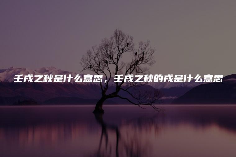 壬戌之秋是什么意思，壬戌之秋的戌是什么意思