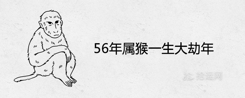 56年属猴一生大劫年及后半生命运