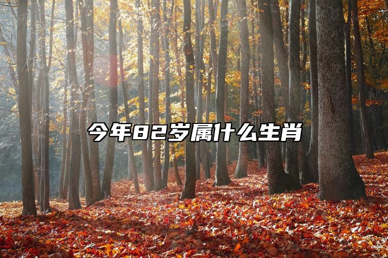 今年82岁属什么生肖 82岁属什么生肖2023年多大