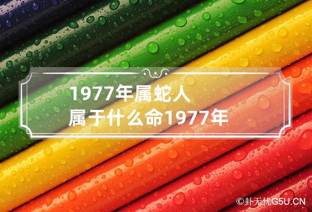 1977年属蛇人属于什么命 1977年属蛇的到底是什么命