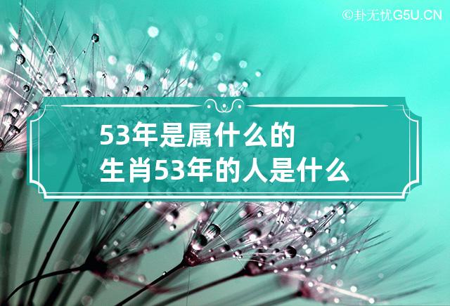 53年是属什么的生肖 53年的人是什么属相