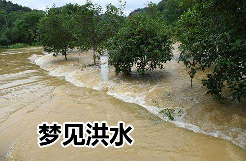 梦见下大雨什么意思