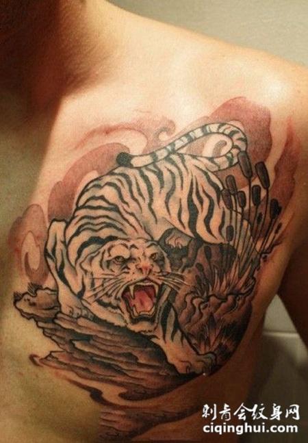 属猪的人纹身可以纹老虎吗