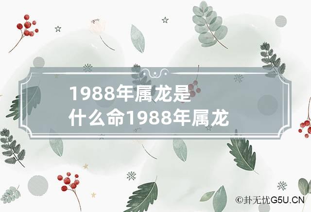 1988年属龙是什么命 1988年属龙是什么命缺什么