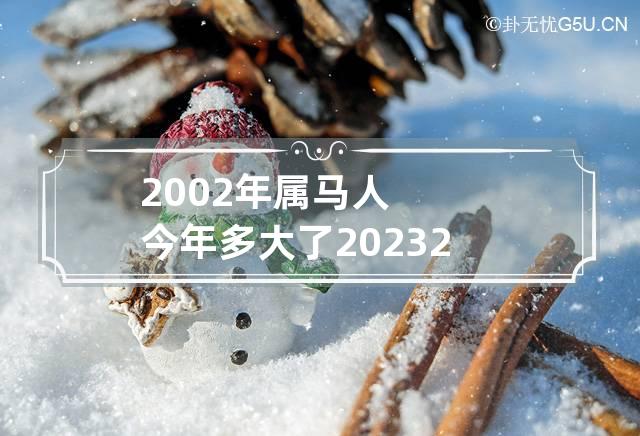 2002年属马人今年多大了2023 2002年属马的今年多大