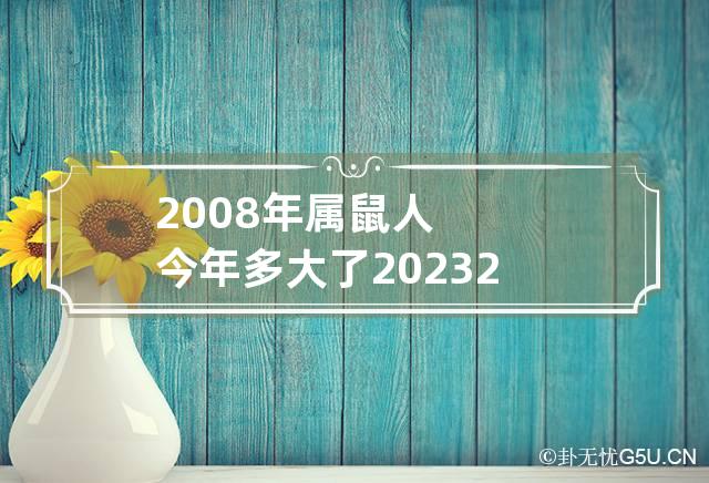 2008年属鼠人今年多大了2023 2008年属鼠人多少岁