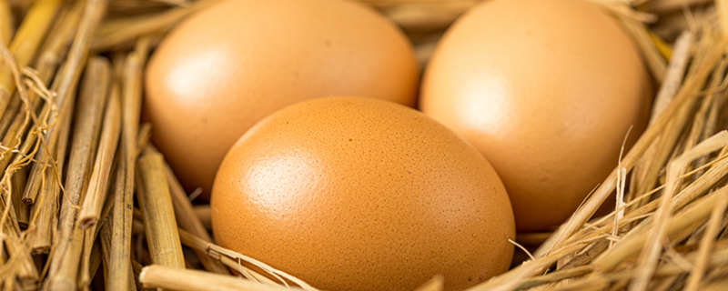 鸡蛋8.jpg