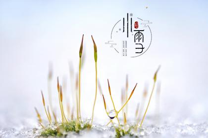 2019年小雪开始下雪了吗,2019年小雪开始下雪了吗