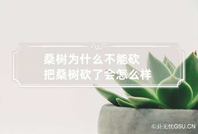 桑树为什么不能砍 把桑树砍了会怎么样