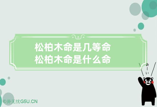 松柏木命是几等命 松柏木命是什么命