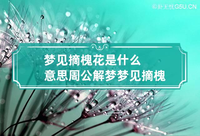 梦见摘槐花是什么意思 周公解梦梦见摘槐花是什么意思