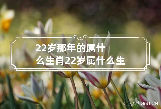 22岁那年的属什么生肖 22岁属什么生肖的哪年出生