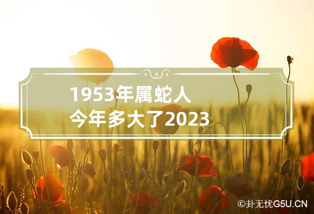 1953年属蛇人今年多大了2023