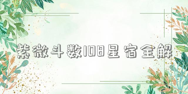 紫微斗数108星宿全解