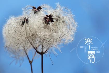 小满节气的含义是什么,立夏节气的含义是什么