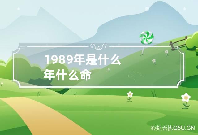 1989年是什么年什么命