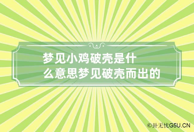 梦见小鸡破壳是什么意思 梦见破壳而出的小鸡