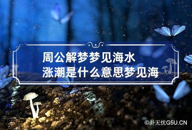 周公解梦梦见海水涨潮是什么意思 梦见海水涨大潮