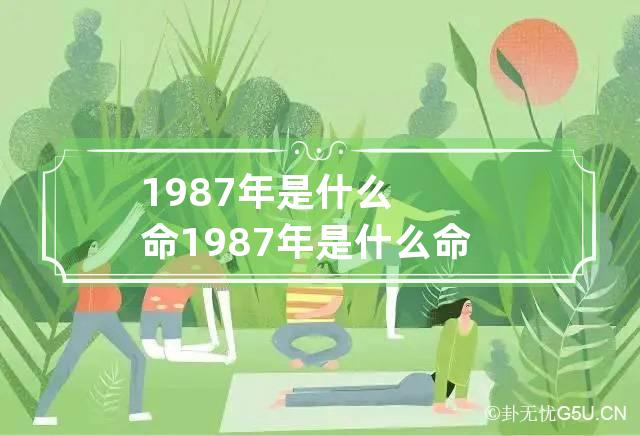 1987年是什么命 1987年是什么命金木水火土