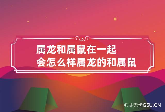 属龙和属鼠在一起会怎么样 属龙的和属鼠的在一起好吗