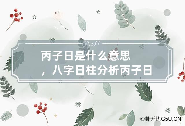 丙子日是什么意思，八字日柱分析丙子日是上等日柱！