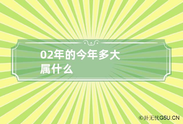 02年的今年多大属什么