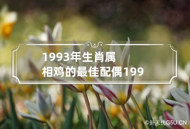 1993年生肖属相鸡的最佳配偶 1993年属鸡与什么生肖相配