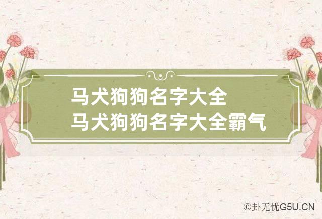 马犬狗狗名字大全 马犬狗狗名字大全霸气带灵字