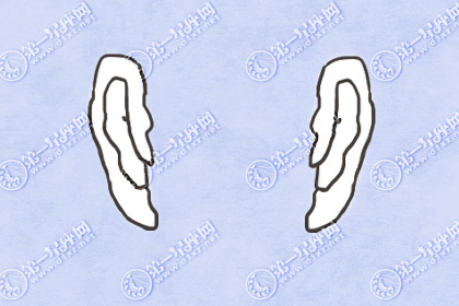耳轮廓反最为富贵所动的说法