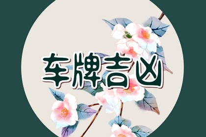 什么车牌号码最吉利 五行相合最吉利