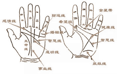 手相二拇指看人的个性及婚姻生活情感