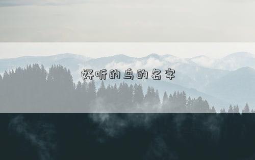 好听的鸟的名字