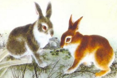87年属兔的是什么命 1987年属兔人是什么五行