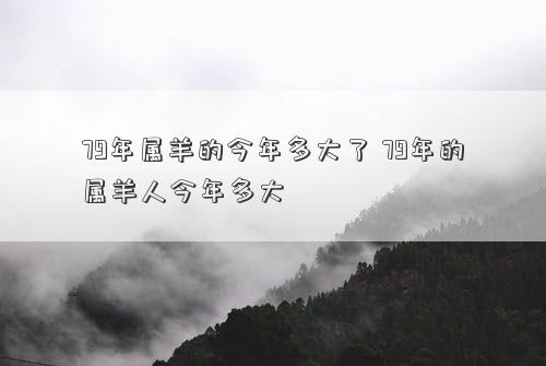 79年属羊的今年多大了 79年的属羊人今年多大