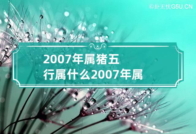 2007年属猪五行属什么 2007年属猪五行属什么火