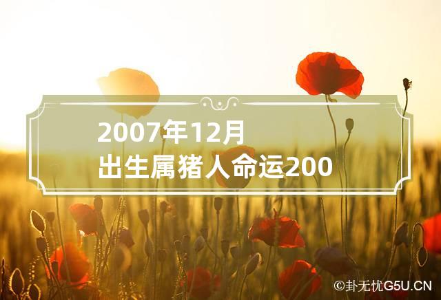 2007年12月出生属猪人命运 2007年属猪12月出生好