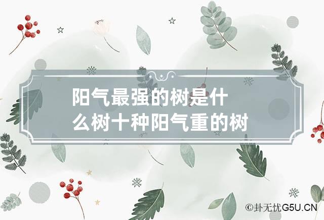 阳气最强的树是什么树 十种阳气重的树