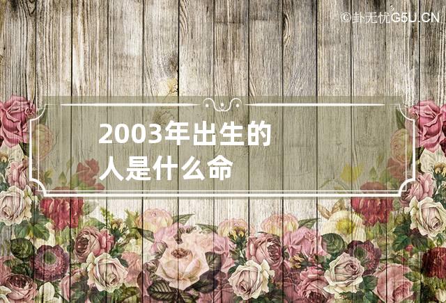 2003年出生的人是什么命