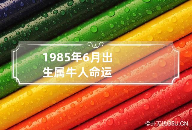 1985年6月出生属牛人命运