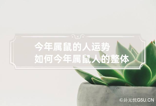 今年属鼠的人运势如何 今年属鼠人的整体运势